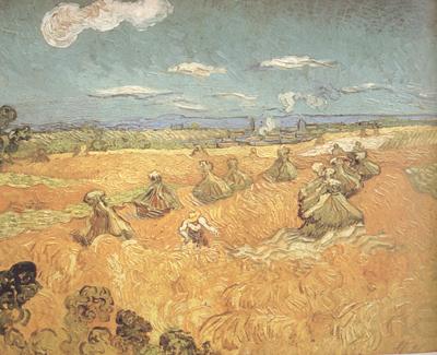 Vincent Van Gogh Wheat Stacks wtih Reaper (nn04) Norge oil painting art